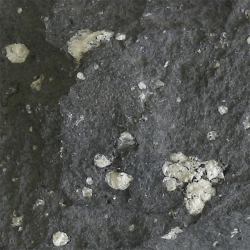 andesite andesite